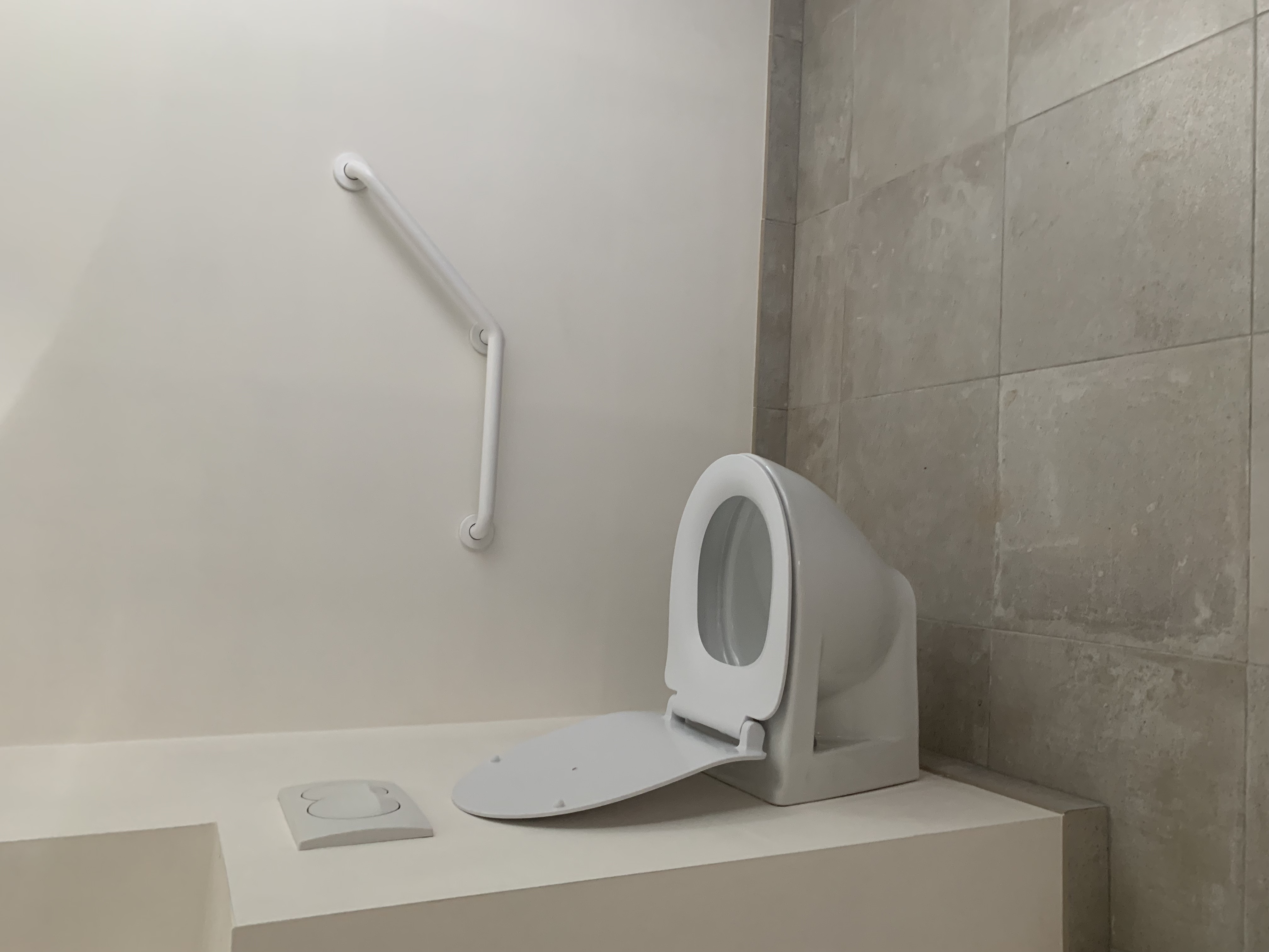 Flc Plomberie Chauffage Plombier Muzillac WC SUSPENDU ET BARRES DE RELEVAGE